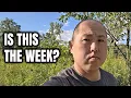 Download Lagu Zal Bitcoin en Crypto deze week herstellen? (Groot rapport volgt!)