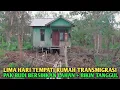 Lagu Lima hari bermukim dirumah transmigrasi pak budi asal banyuwangi bersihkan lahan plus bikin tanggul