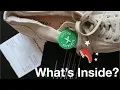 What s Inside a StockX Tag