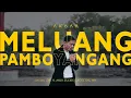 Download Lagu Meluang Pamboyangang - Ali Akbar Husni (Official Music Video) || Cipt. Zulkifli Atjo