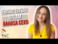 Belajar bahasa Ceko: Alfabet Ceko, Ucapan salam, Ucapan terima kasih, Perkenalan diri