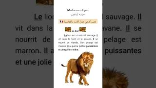 تعبير كتابي عن الأسد باللغة الفرنسية Le Lion 