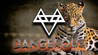 Download NEFFEX - Dangerous ⚠️ [Slowed + Reverb] Special 900 Subscribers 🔥 MP3