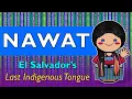 Can Nawat Survive El Salvador s Last Indigenous Tongue