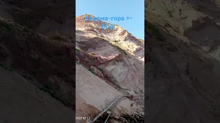                              دندنها