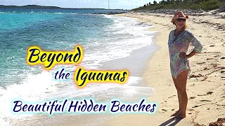 SDA22  Beyond the Iguanas, Beautiful Hidden Beaches