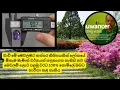 Discover the easiest way to calculate gemstone carat weight online