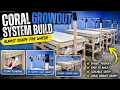 Plumbing The Coral Grow With My Beginner Tips Tricks