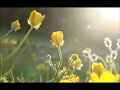 PMR (Progressive Muscle Relaxation) to Help Release Tension, Relieve Anxiety or Insomnia