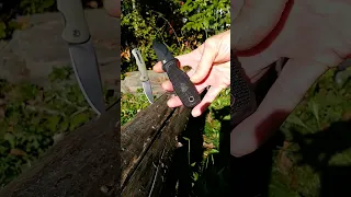Little Wolf Knife D2 Fixed Blade Neck Knife Shorts Youtubeshorts Blade Shortvideo 