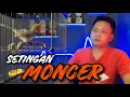 Download Lagu SETINGAN BURUNG PRENJAK LOMBA || HASIL MEMUASKAN