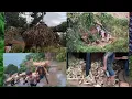 Download Lagu Khatra makai👉️ 40👈️ bhari aayo Makai bari daryam daryam, Bhachdai garda bijog bho Kam panile.
