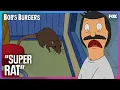 Bob Traps a Super Rat in the Restaurant Bob s Burgers