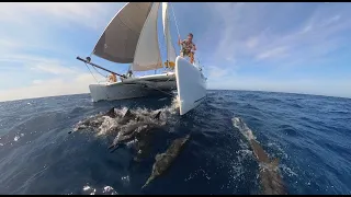 500 Nautical Mile Offshore Passage in Catamaran