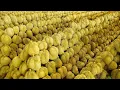 Lagu durian fruitoogstprocesverzameling op durian farm - thais straatvoedsel