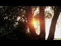 Rachmaninoff - Vocalise, Op. 34 No. 14 (orchestral arrangement)