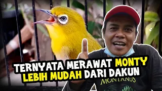 Download Kupas Tuntas Rawatan Pleci Monty || Bersama Om Bavie MP3