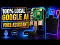Raspberry Pi AI Assistant That Works 100 Offline Google AI Tutorial for Beginners