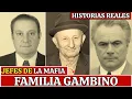 Lagu El imperio que GOTTI construyó y destruyó: cómo se derrumbó su legado - FAMILIA DEL CRIMEN GAMBINO