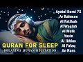 Download Lagu Quran recitation in a peaceful voice I Alfatiha, Yasin ,Arrahman ,AlWaqiah ,Almulk -By Alaa Aqel