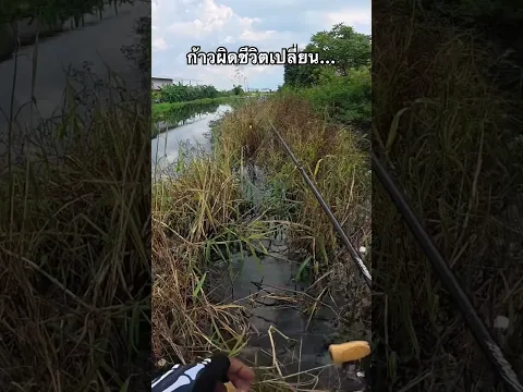 เกือบย้ายเซิฟ ￼