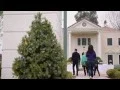 FresYes on Zillow