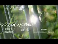 Oogway Ascends - Piano Cover