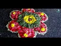 Thumbi Thullal Video Cover Ft. Kuhasini | Cobra | Chiyaan Vikram | AR Rahman | Shreya Goshal