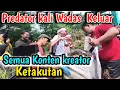 Lagu Waaw ‼️ PREDATOR Kali Wadas Menolak Di Normalisasi‼️ Ternyata Bukan Hanya H Manaf #dedimulyadi 
