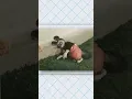 The Most TERRIFYING Mickey Mouse Appearance EVER