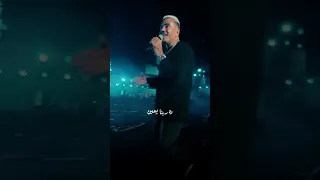 رمش خطاف والسحر اصناف بابا عمرو دياب Shorts 