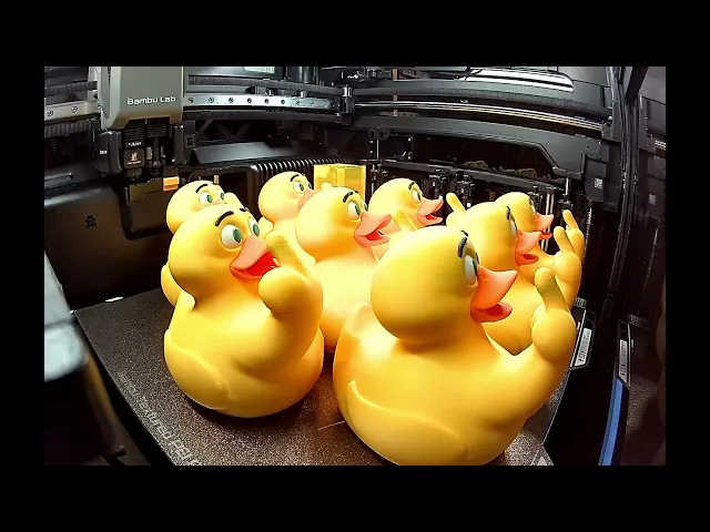 Look what I found duck video thumbnail