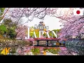 Download Lagu Spring Japan 4K Ultra HD • Stunning Footage Japan, Scenic Relaxation Film with Calming Music.