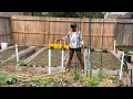 How to Build a Cinder Block Garden Bed - Useful Tips Revealed