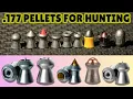 Best 177 Pellets for Hunting of 2025