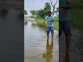 Download Lagu Viral Slingshot Fishing #fishing #fish #slingshot #shorts #viral