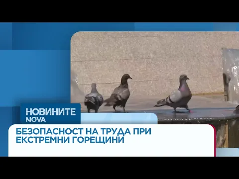 Екстремните горещини застрашават милиони работници, Инспекцията по труда с предупреждение