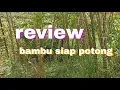 Download Lagu bamboo review ready to sell complete specs