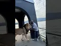 Download Lagu https://vt.tiktok.com/ZSDbHLeLD/   I just couldn’t resist posting this