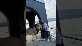 Https Vt Tiktok Com ZSDbHLeLD I Just Couldn T Resist Posting This  Https Vt Tiktok Com ZSDbHLeLD I Just Couldn T Resist Posting This