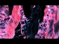 Ben Böhmer - Strangers (Official Visualiser)