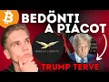 Download Lagu KRIPTO: ELINDULT TRUMP PROJEKTJE - VESZÉLY A PIACON - ÍGY KÉSZÜLJ + STRATÉGIA