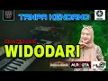 Download Lagu WIDODARI (Woro Widowati) Tanpa Kendang Garap Orkes