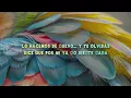 La T y La M, J Balvin - Qué ironía