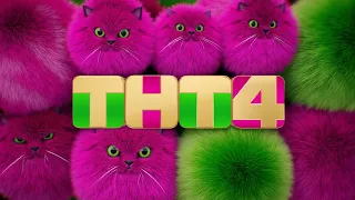 Праздничная заставка ТНТ4 ко дню кошек 08 08 2025 Оригинал  Праздничная заставка ТНТ4 ко дню кошек 08 08 2025 Оригинал