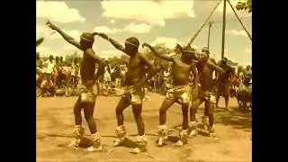 shumba ratshega dikgafela