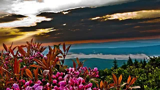 من أعذب الاناشيد أنشودة ياسماوية المنشد فواز الشهاب 