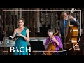Download Lagu Bach - Cantate Weichet nur, betrübte Schatten BWV 202 - Yamagata | Nederlandse Bachvereniging