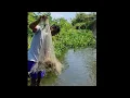 Download Lagu Jala Ikan di Kaliworo Klaten Gunung Merapi
