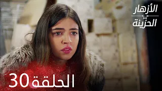 الأزهار الحزينة الحلقة 30 كاملة Kırgın Çiçekler  الأزهار الحزينة الحلقة 30 كاملة Kırgın Çiçekler